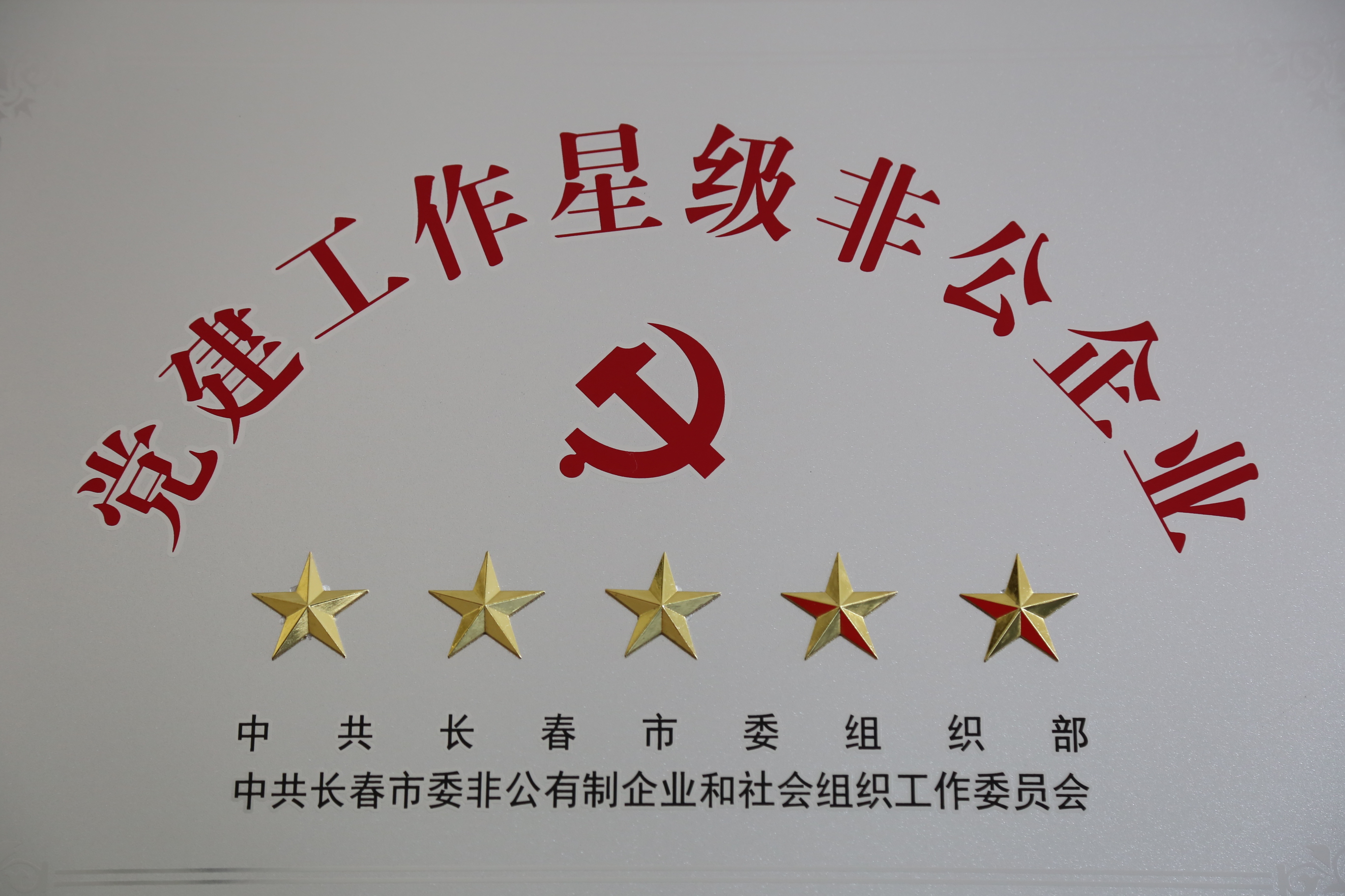 集團公司被長春市委組織部授予“黨建工作五星級非公企業”稱號
